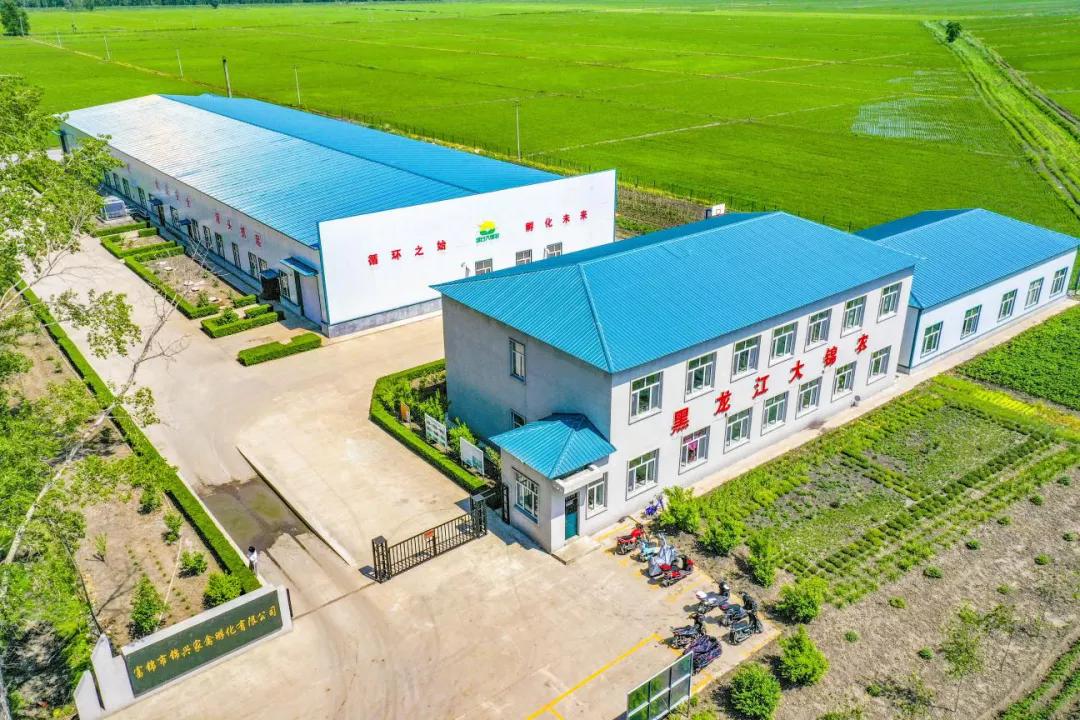 015156156151515165.jpg 015156156151515165.jpg