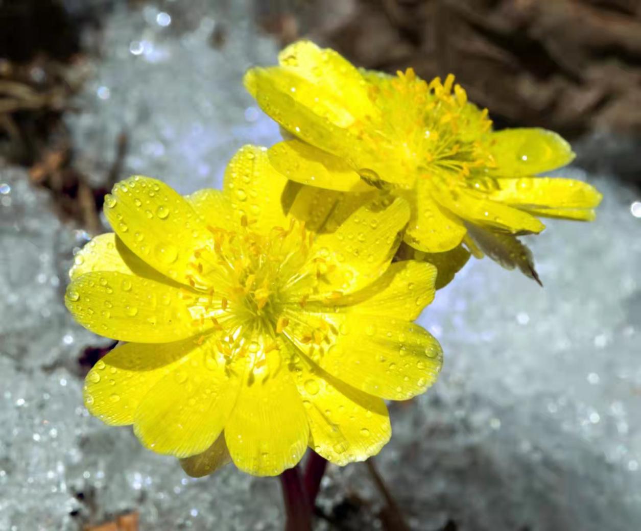 0323213213212222.jpg 0323213213212222.jpg