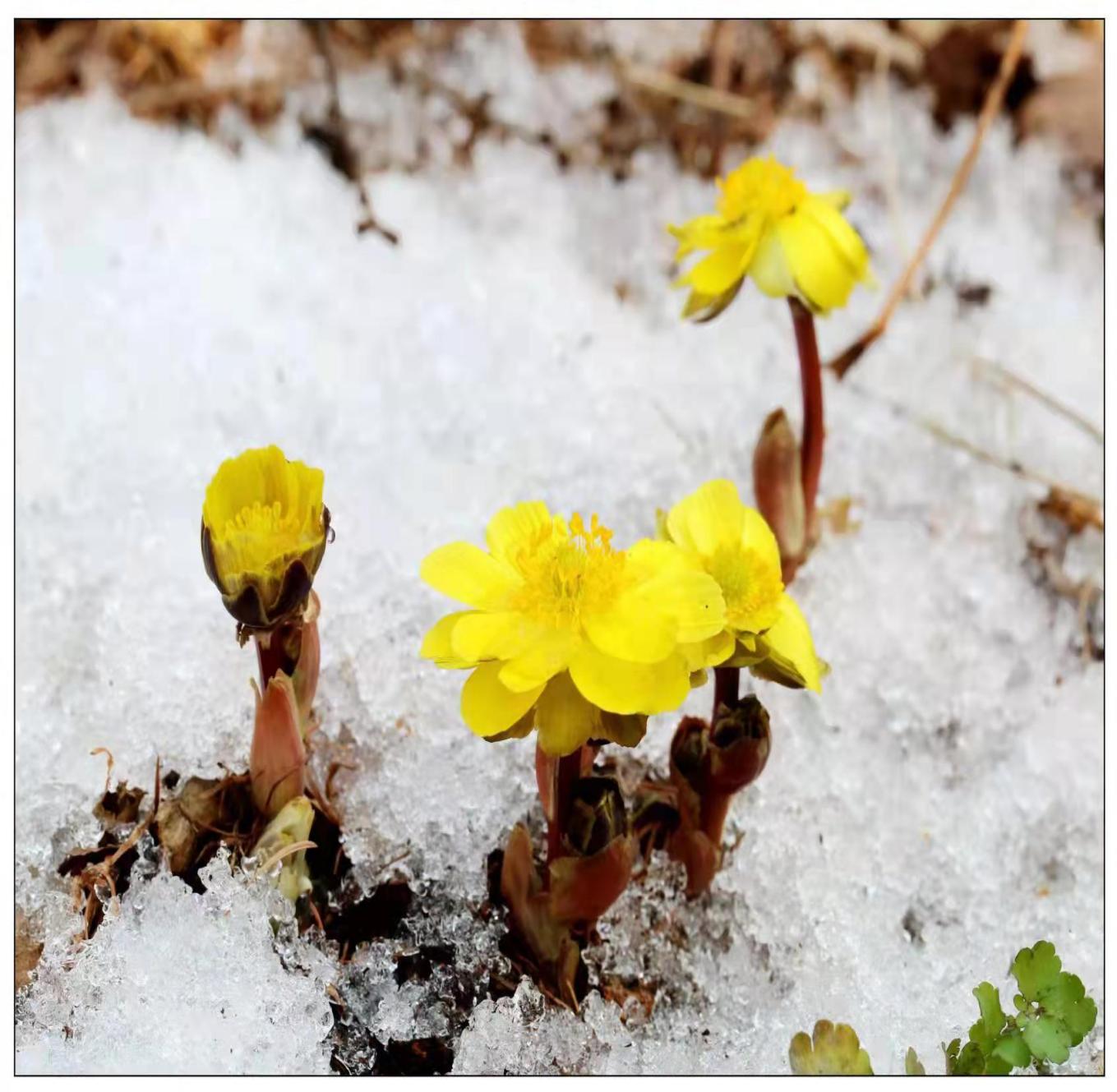 0023112315211121.jpg 0023112315211121.jpg