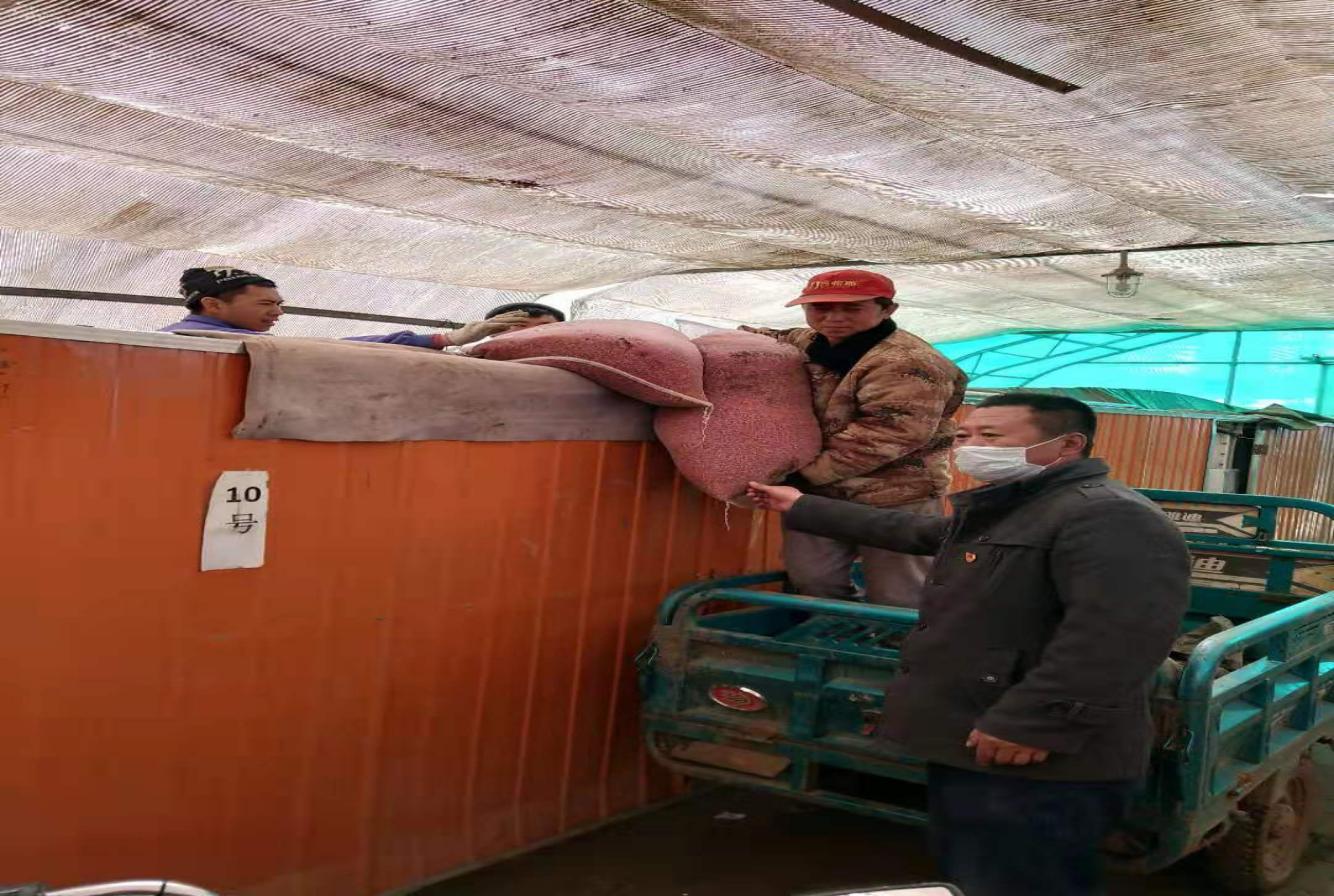 0321023123123.jpg 0321023123123.jpg