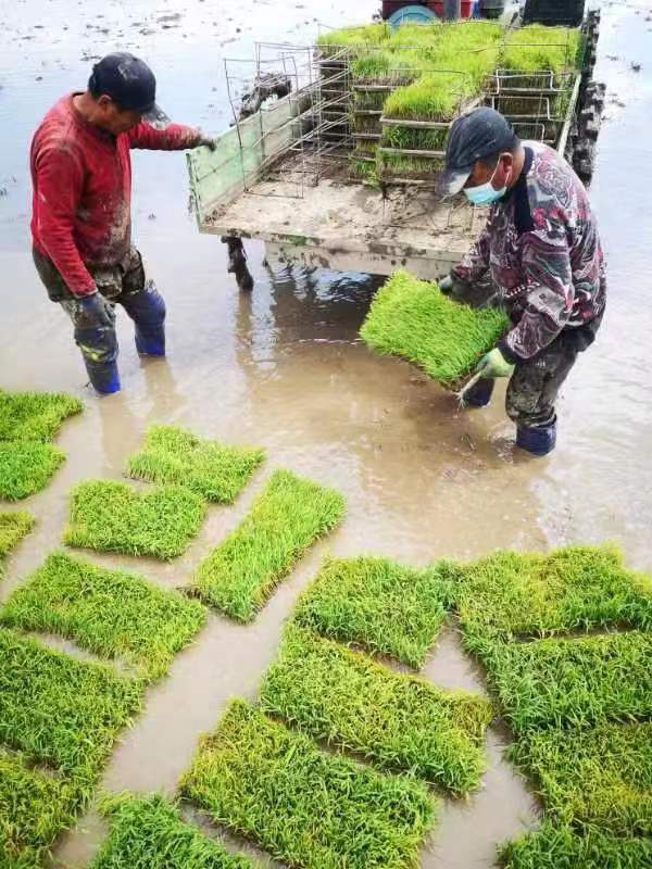 02151561561561.jpg 02151561561561.jpg