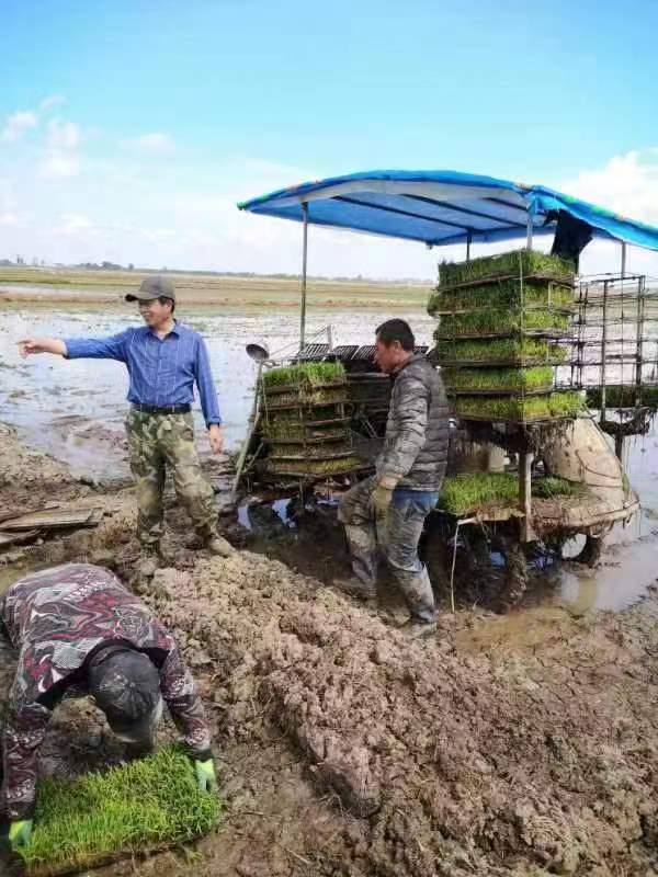 0215152111111.jpg 0215152111111.jpg