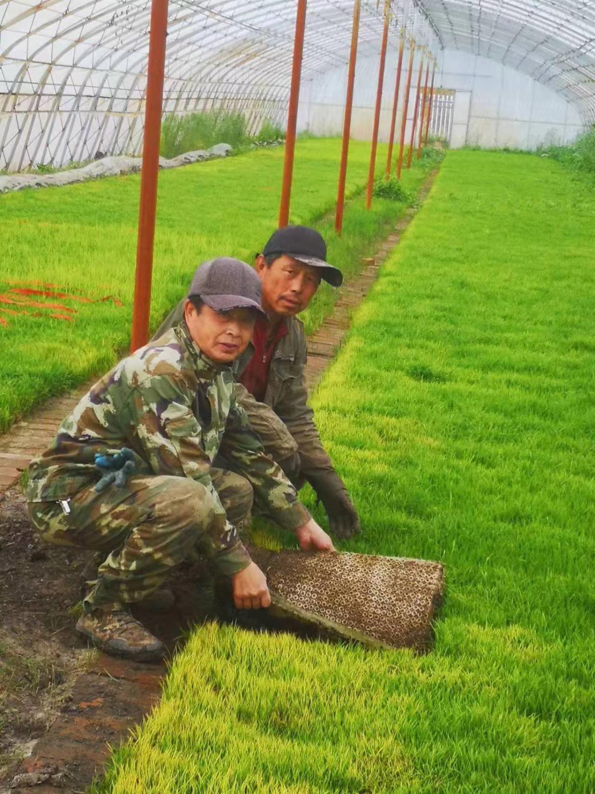 0215615611111.jpg 0215615611111.jpg