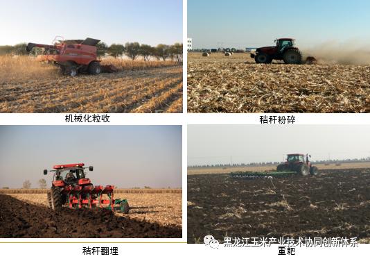 01445545444444.jpg 01445545444444.jpg