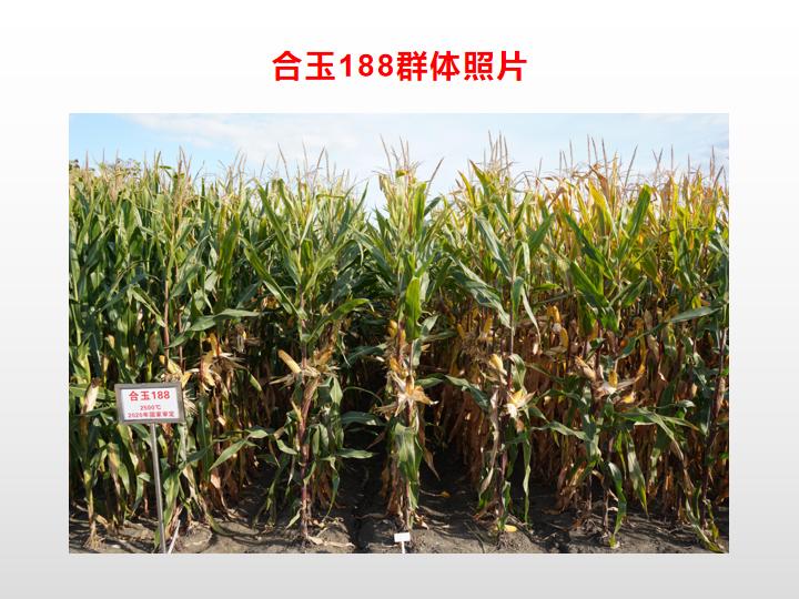 021544448454211212.jpg 021544448454211212.jpg