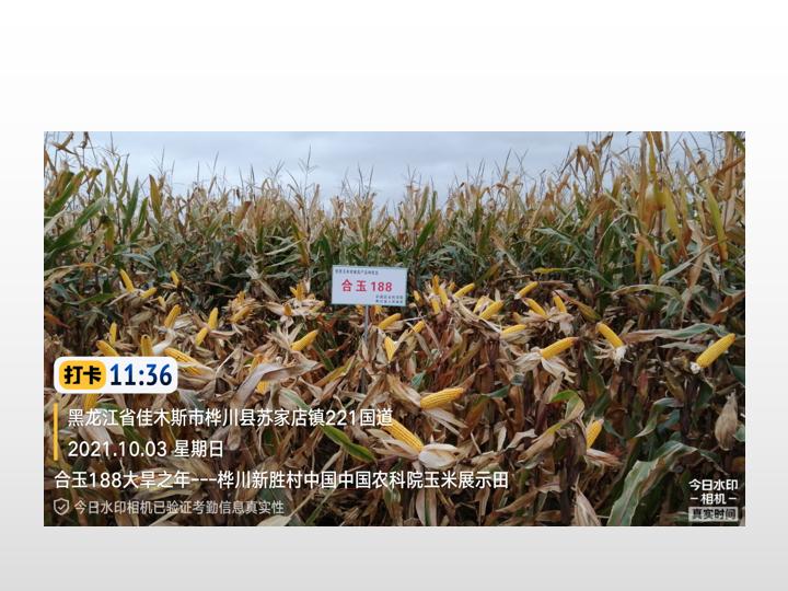 0312651265156156.jpg 0312651265156156.jpg