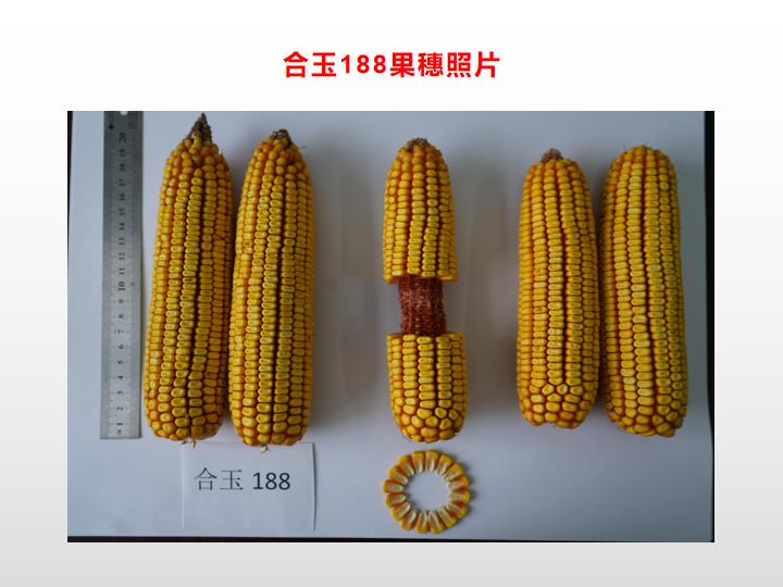 021551001221521.jpg 021551001221521.jpg