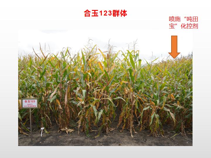 0215212121.jpg 0215212121.jpg