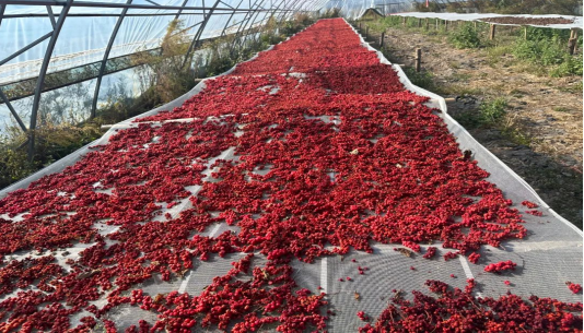 微信圖片_20240306101326.png 微信圖片_20240306101326.png