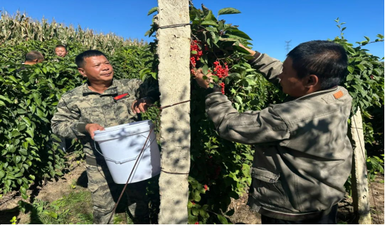 微信圖片_20240306101349.png 微信圖片_20240306101349.png