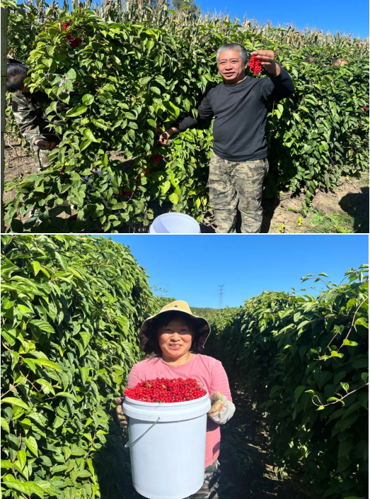 微信圖片_20240306101410.png 微信圖片_20240306101410.png