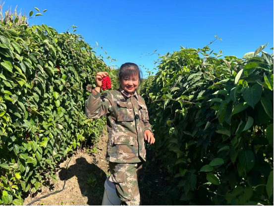 微信圖片_20240306101430.png 微信圖片_20240306101430.png