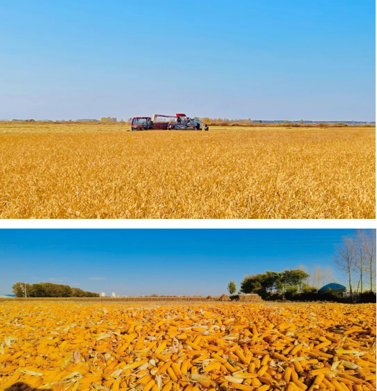 微信圖片_20240321100526.png 微信圖片_20240321100526.png