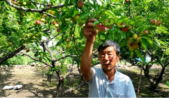 微信圖片_20240321100543.png 微信圖片_20240321100543.png