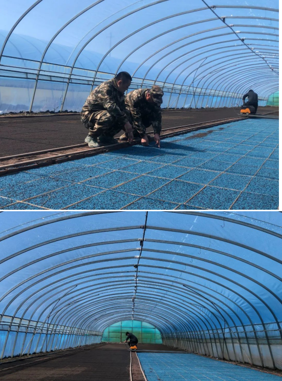 微信圖片_20240520092534.png 微信圖片_20240520092534.png