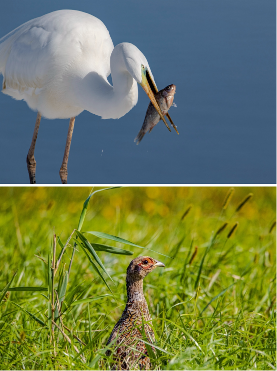 微信圖片_20240826095138.png 微信圖片_20240826095138.png