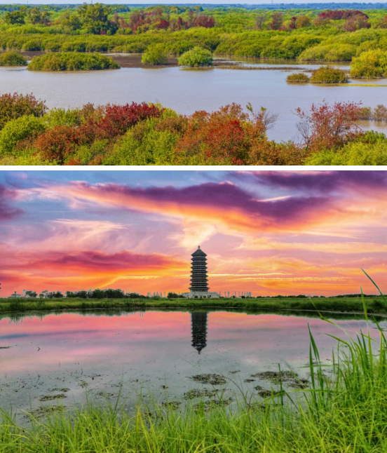 微信圖片_20240826095202.png 微信圖片_20240826095202.png