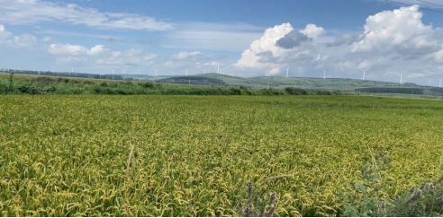 微信圖片_20240904092920.png 微信圖片_20240904092920.png