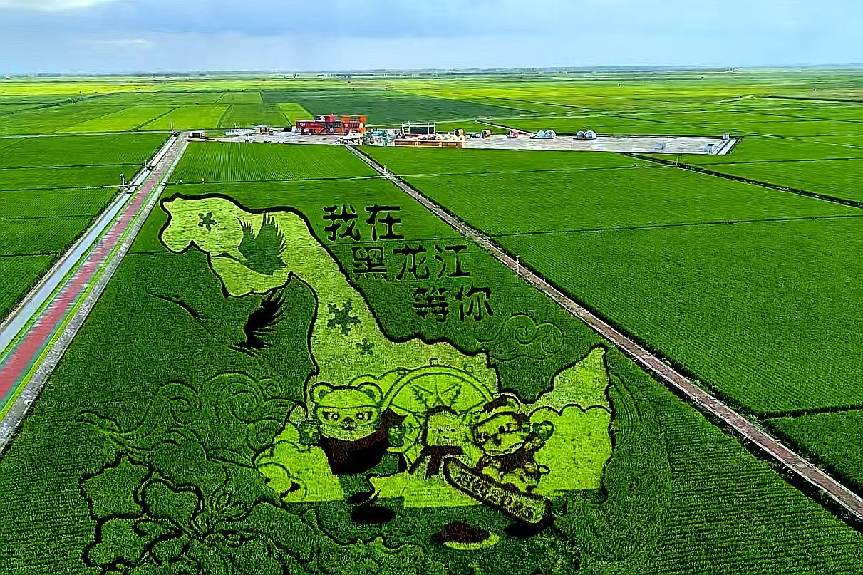 賀巖 13394571765    綠水青山  .jpg