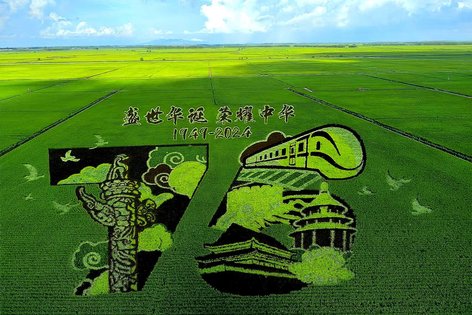 王麗君 13846102803 盛世華誕 榮耀中華.jpg