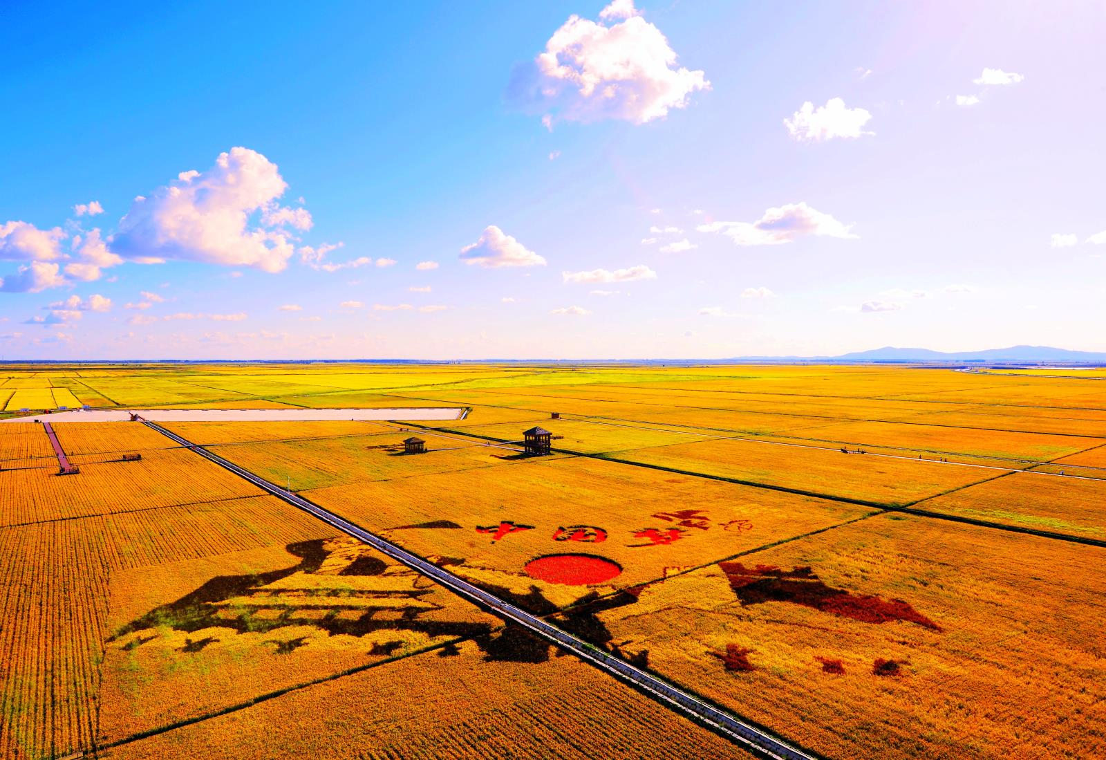 劉亞洲 13329540958  金色中國夢.jpg