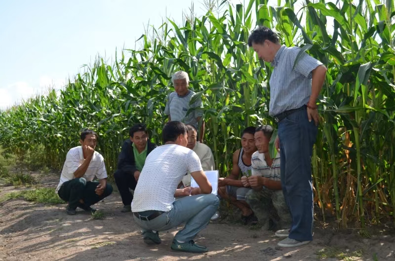 孫建濤 13945492853  豐收景象.jpg