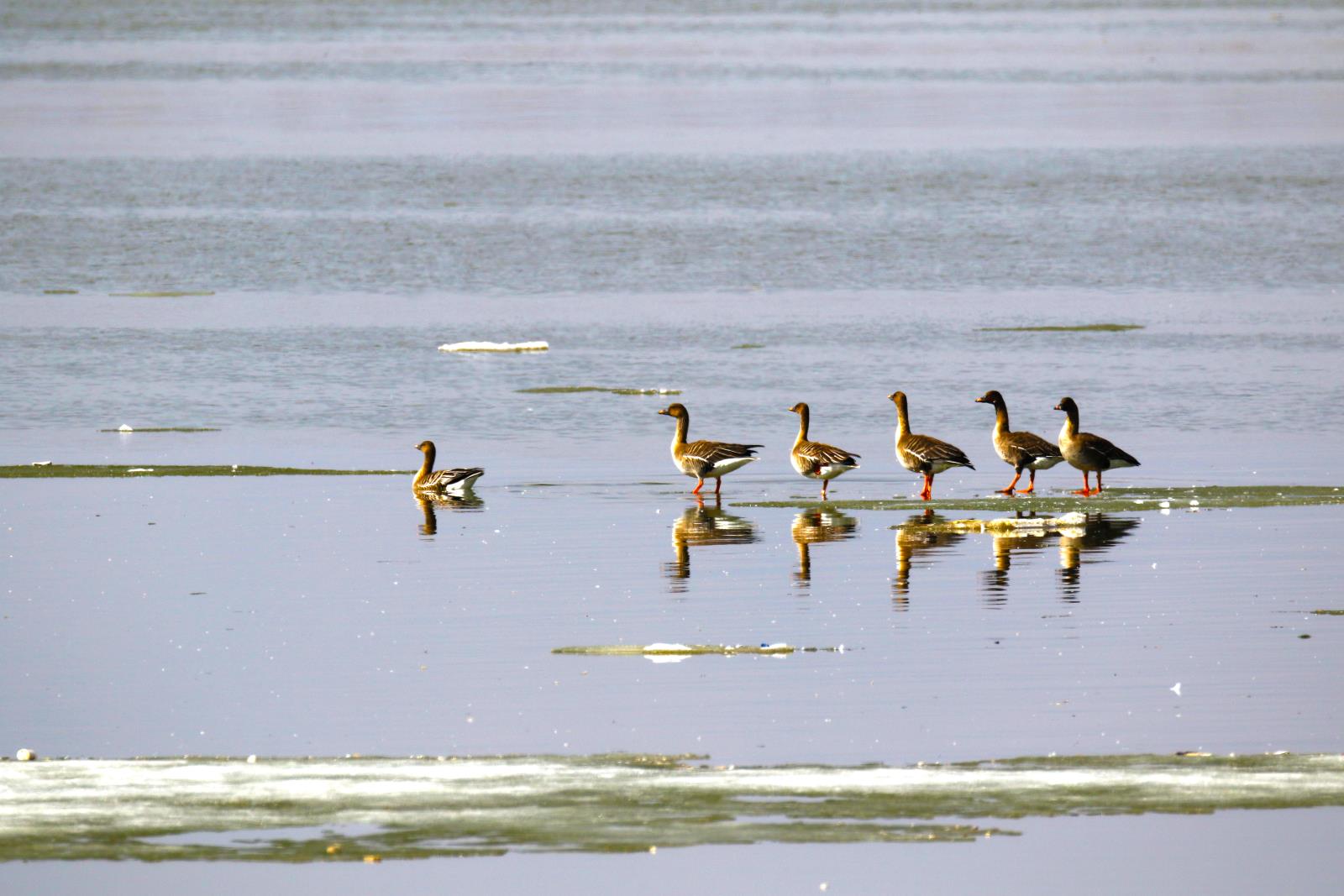 劉玉江15326692999 步調一致.jpg