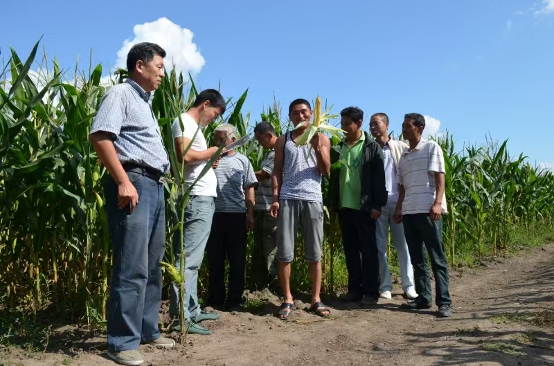 孫建濤 13945492853 調研田間.jpg