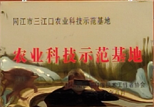 圖片1.png 圖片1.png