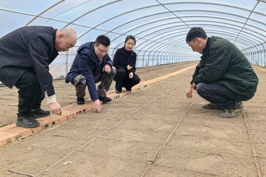 圖片1.png 圖片1.png