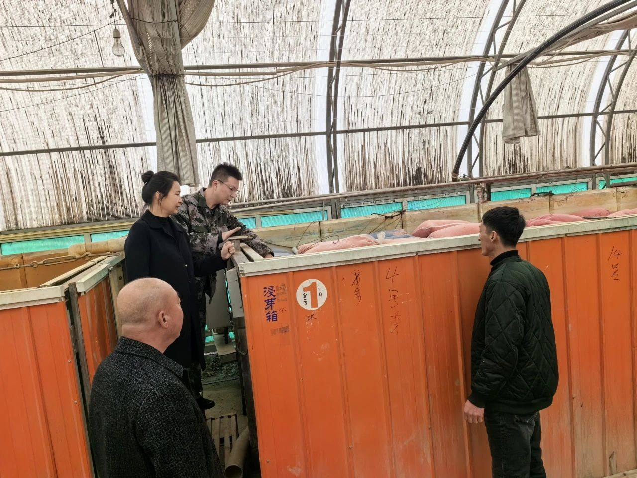 圖片3.png 圖片3.png