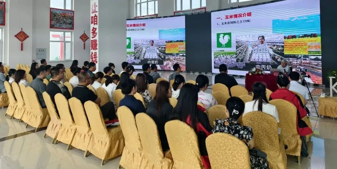 圖片2.png 圖片2.png