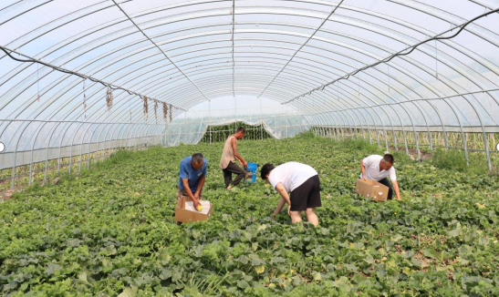 微信圖片_20250807101928.png 微信圖片_20250807101928.png